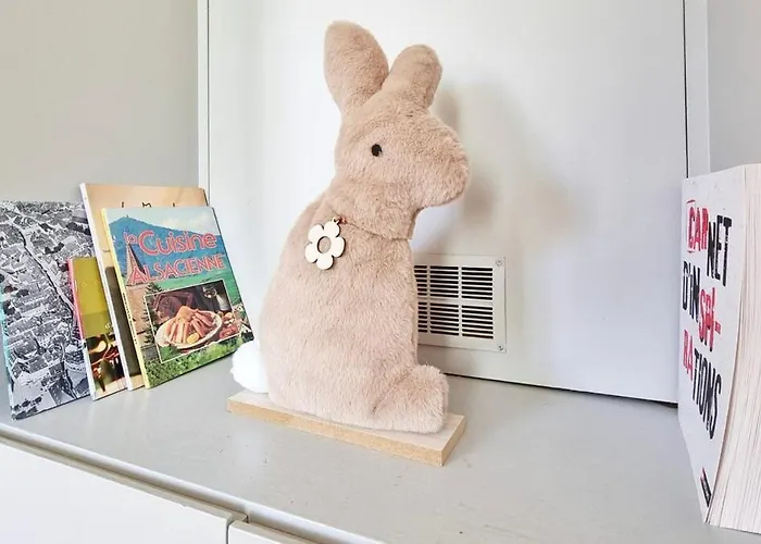 Loft Lumineux Pres Du Port Du Canal コルマール